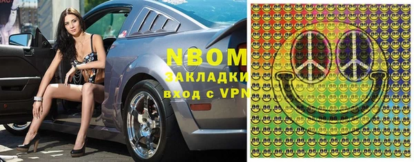 индика Белоозёрский