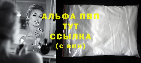 индика Белоозёрский