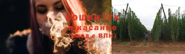 тгк Белокуриха