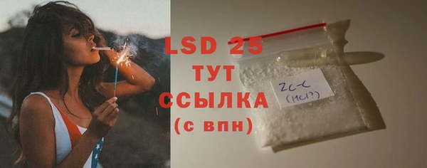 индика Белоозёрский