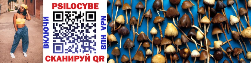 Галлюциногенные грибы Cubensis  Кущёвская 